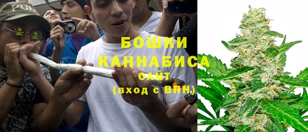 дмт Арсеньев
