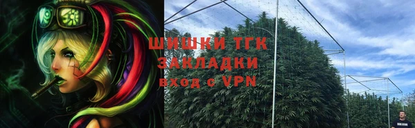 дмт Арсеньев