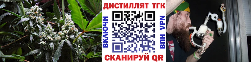 KRAKEN   Дзержинск  ТГК гашишное масло 