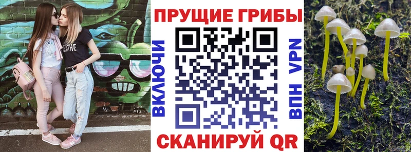 Галлюциногенные грибы Psilocybine cubensis  Дзержинск 