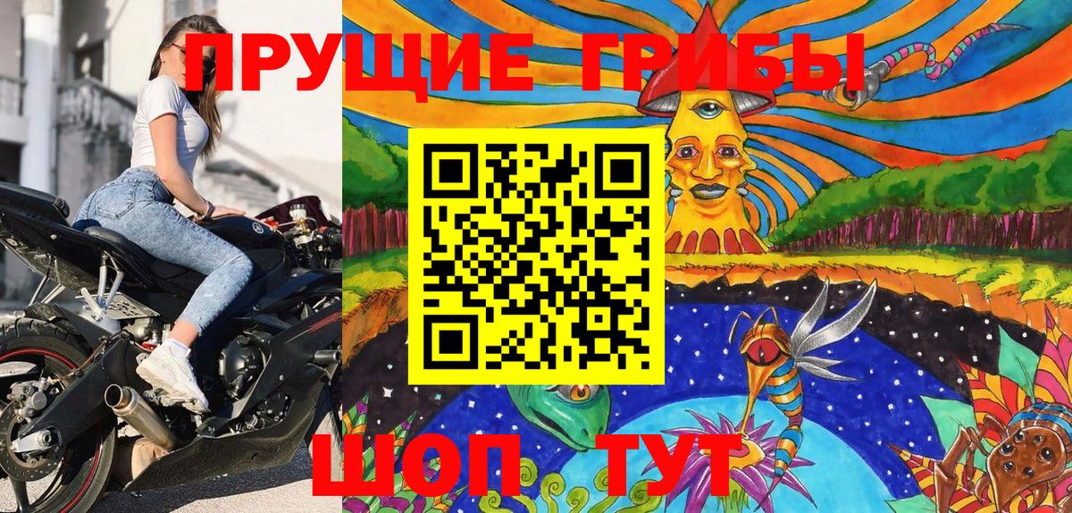 Псилоцибиновые грибы Psilocybe  Вход с VPN  Дзержинск 